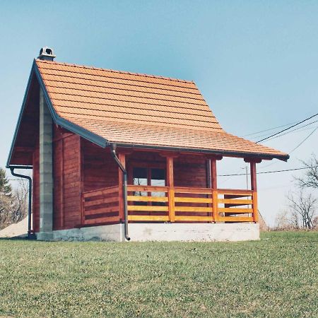 Brvnara Zecevic Villa Zlatibor Bagian luar foto