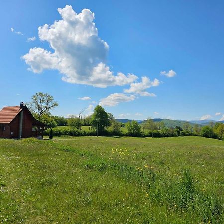 Brvnara Zecevic Villa Zlatibor Bagian luar foto