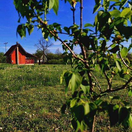 Brvnara Zecevic Villa Zlatibor Bagian luar foto