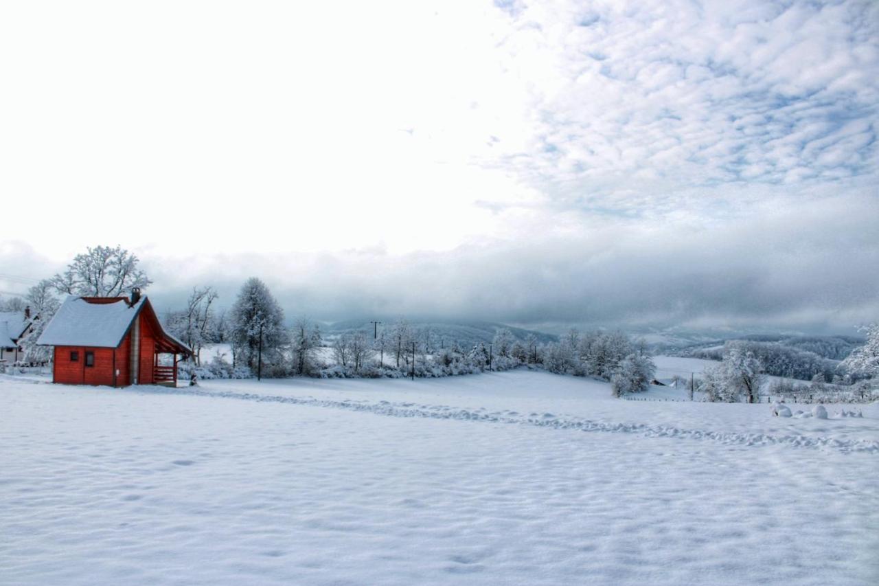 Brvnara Zecevic Villa Zlatibor Bagian luar foto