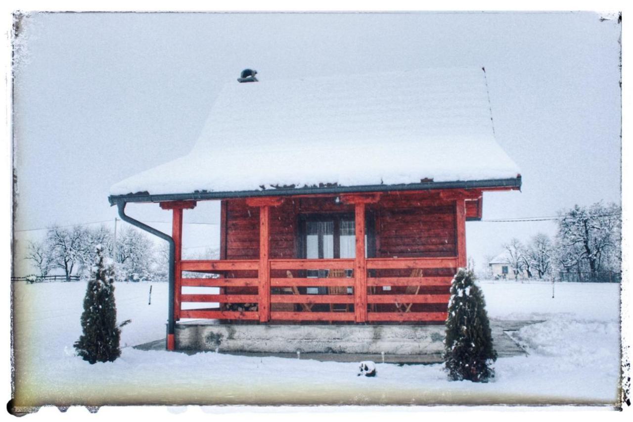 Brvnara Zecevic Villa Zlatibor Bagian luar foto