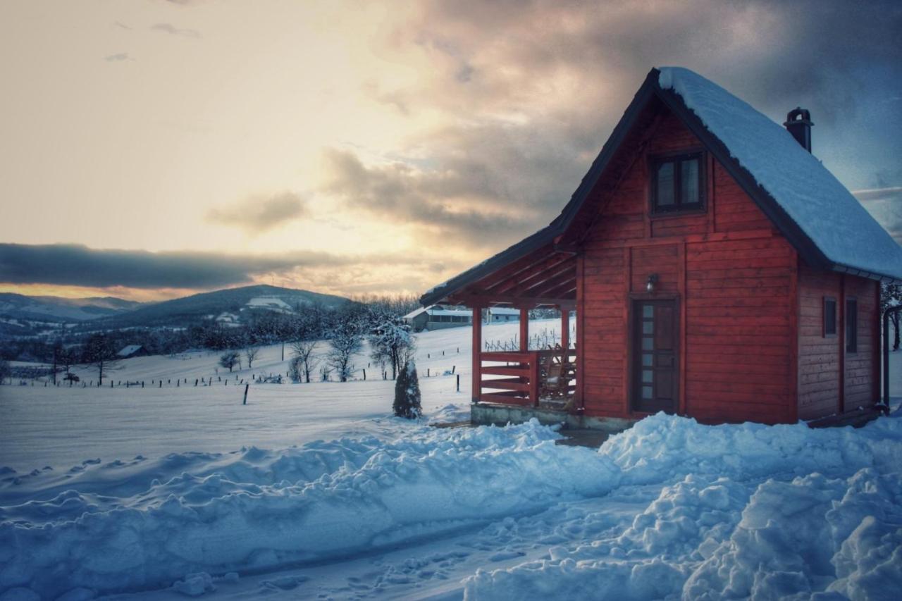 Brvnara Zecevic Villa Zlatibor Bagian luar foto