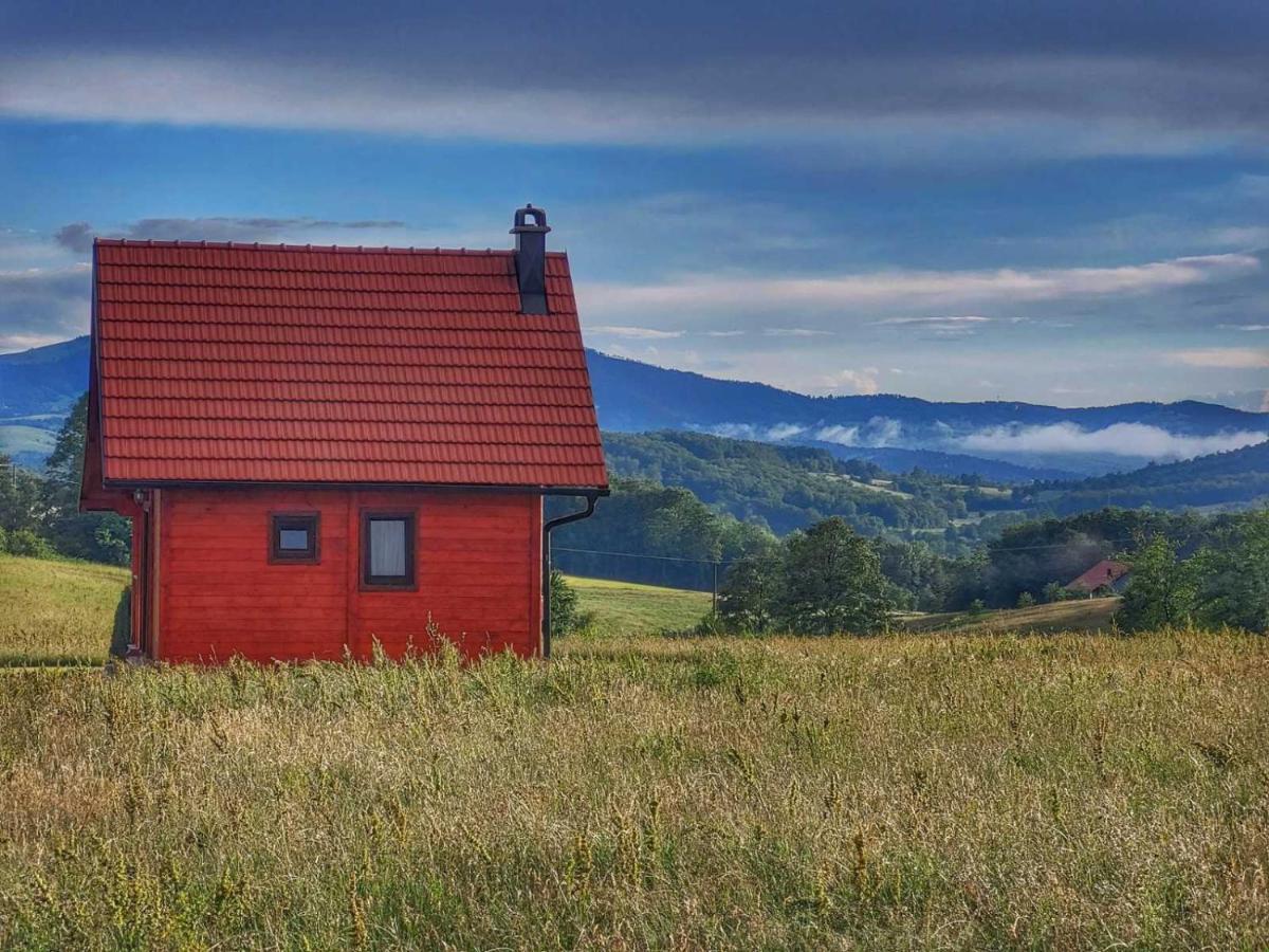 Brvnara Zecevic Villa Zlatibor Bagian luar foto