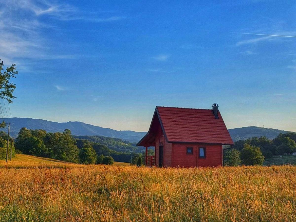 Brvnara Zecevic Villa Zlatibor Bagian luar foto