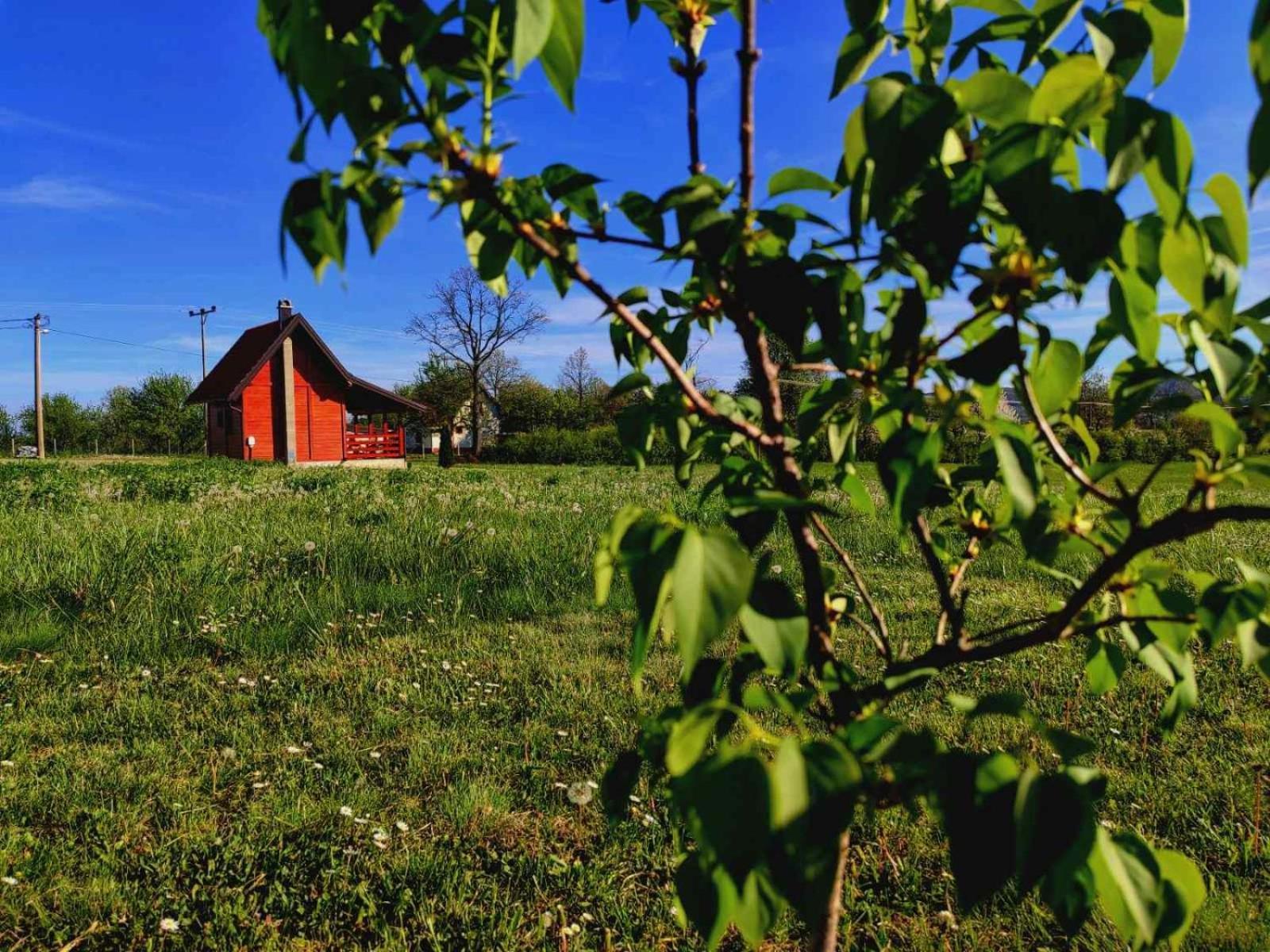 Brvnara Zecevic Villa Zlatibor Bagian luar foto